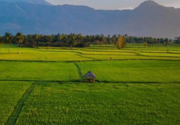 Screenshot_20251031_212734_Google