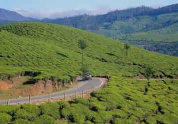 Screenshot_20251101_194839_Google