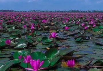 Screenshot_20251101_195233_Google