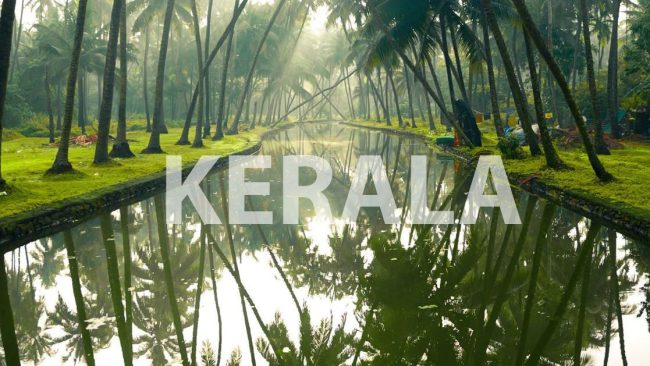 event planners in kerala