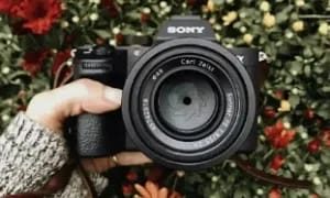 event planners in kannur